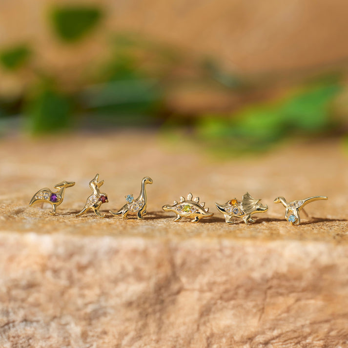 アニマルピアス